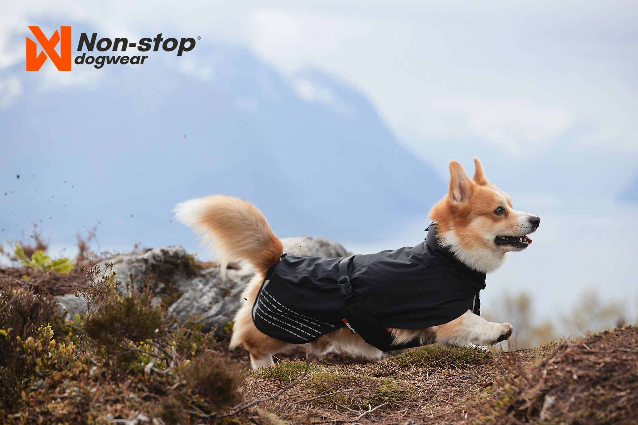 Non-stop Dogwear regndekken til hund