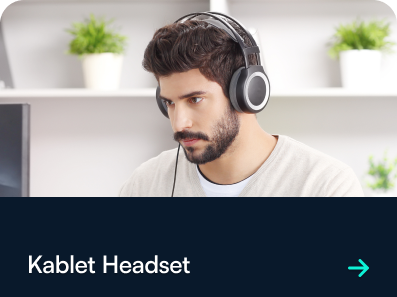 Wired Headset.png