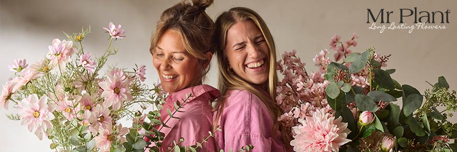 mr-plant-banner.jpg