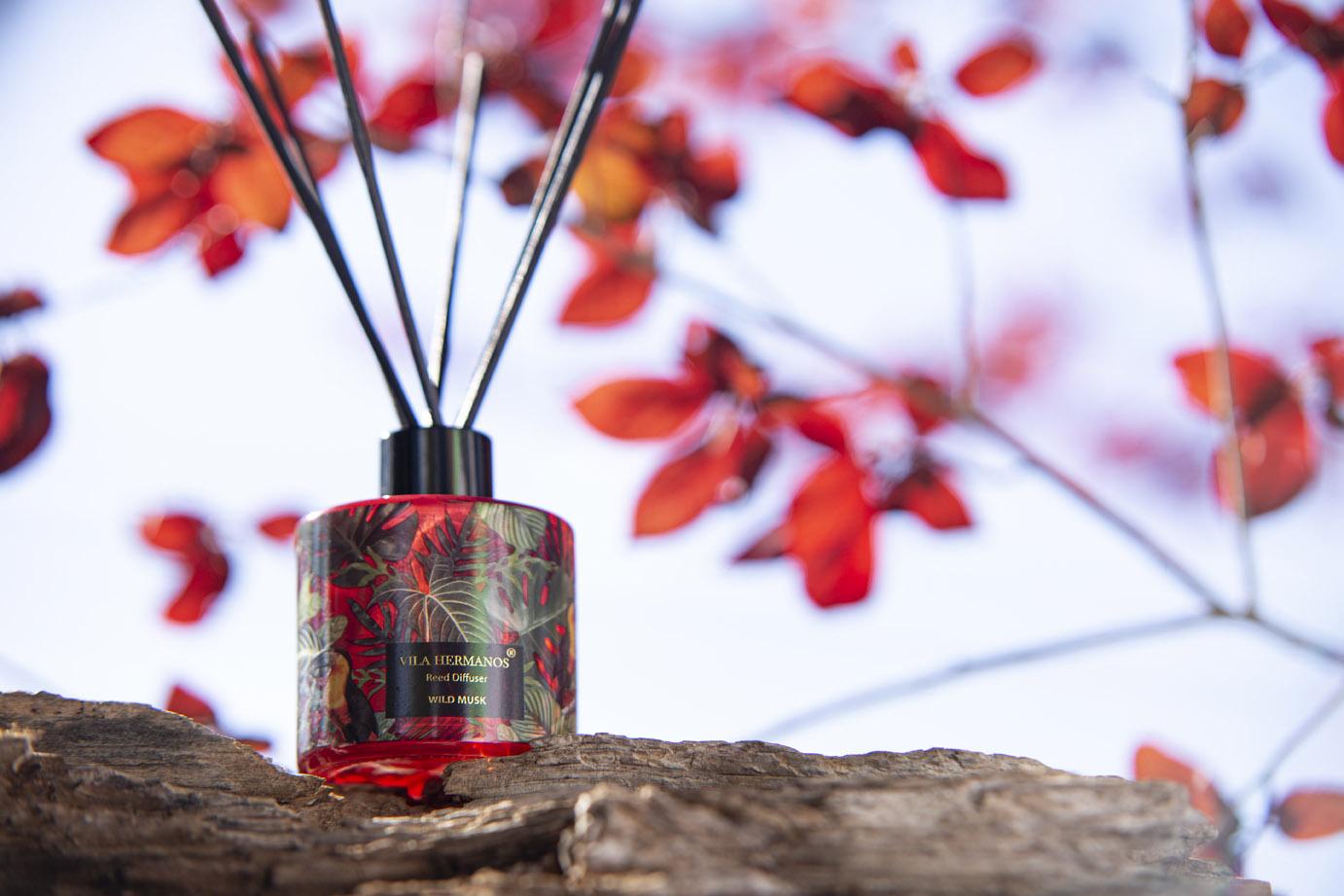 Jungletopia 353_small.jpg