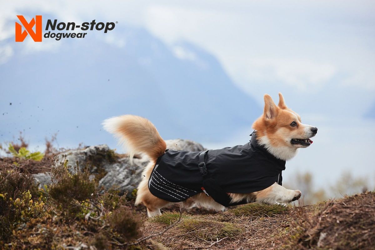 Non-stop Dogwear Fjord Raincoat - Regndekken
