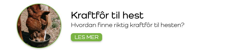 Kraftfôr til hest