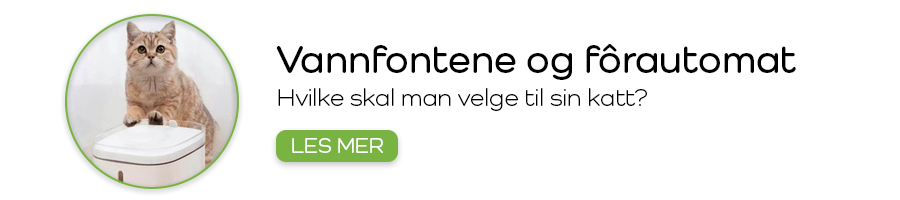 Vannfontener og fôrautomater