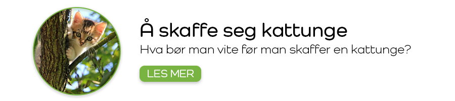 Å skaffe valp eller kattunge
