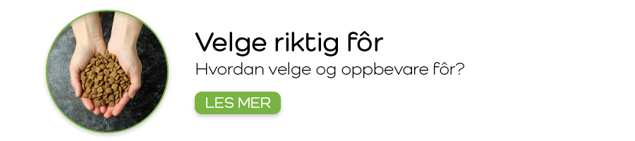 Hvordan velge riktig fôr og oppbevare det