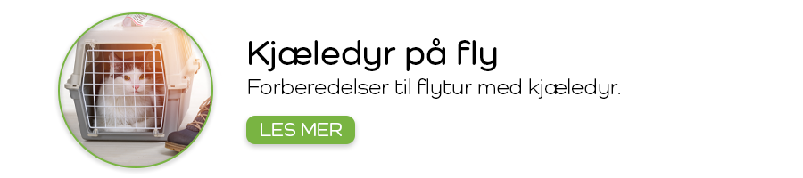 Kjæledyr på fly