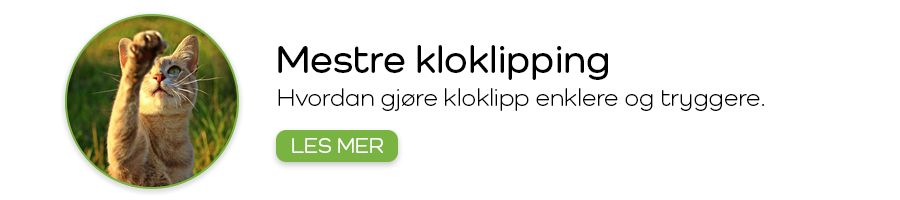 Bli bestevenn med klotangen