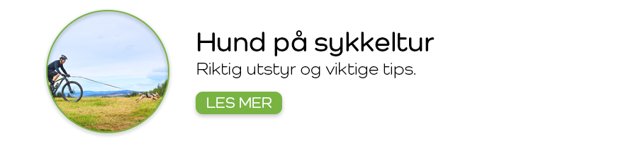 Hund på sykkeltur