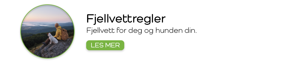Fjellvettregler for hunder