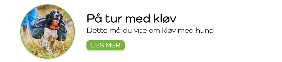 Hvordan velge riktig kløv