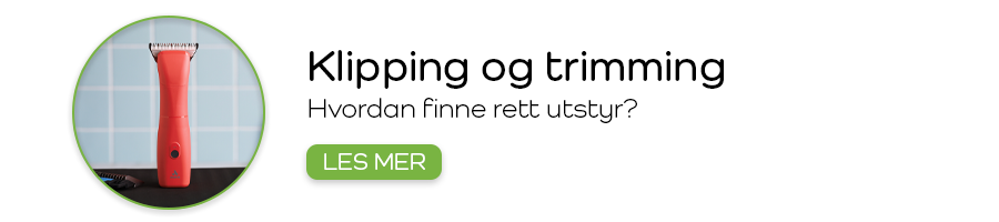 Klipping og trimming av hunden