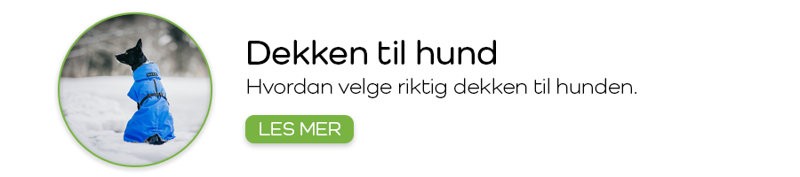 Dekken til hund