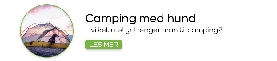 Campingtur med hund